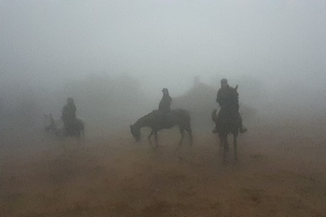 Sicily Horse Tours景点图片
