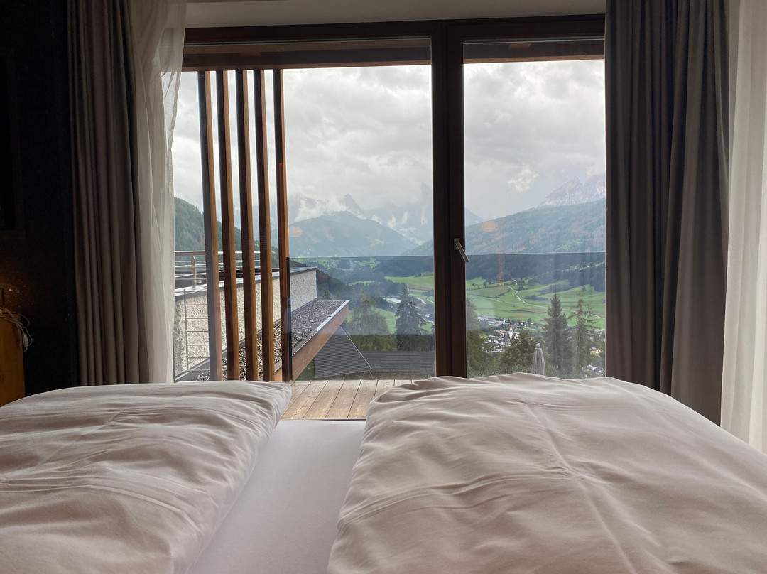 Hotel Alpen Tesitin主图