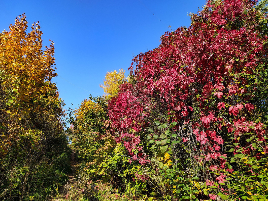 Beach on Shhelokovskiy Khutor-下诺夫哥罗德必去景点