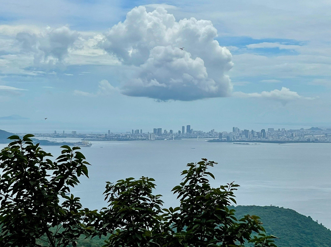 Vm Cars - The Car You Trust-岘港必去景点