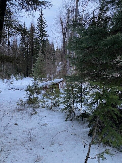 Lupfer Lookout Trail景点图片