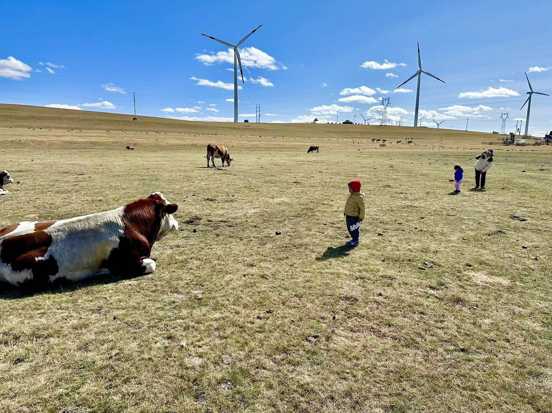 乌兰察布草原-乌兰察布市必去景点