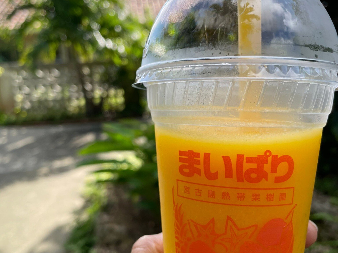 Maipari Miyakojima Island Tropical Fruit Park-宫古岛市必去景点