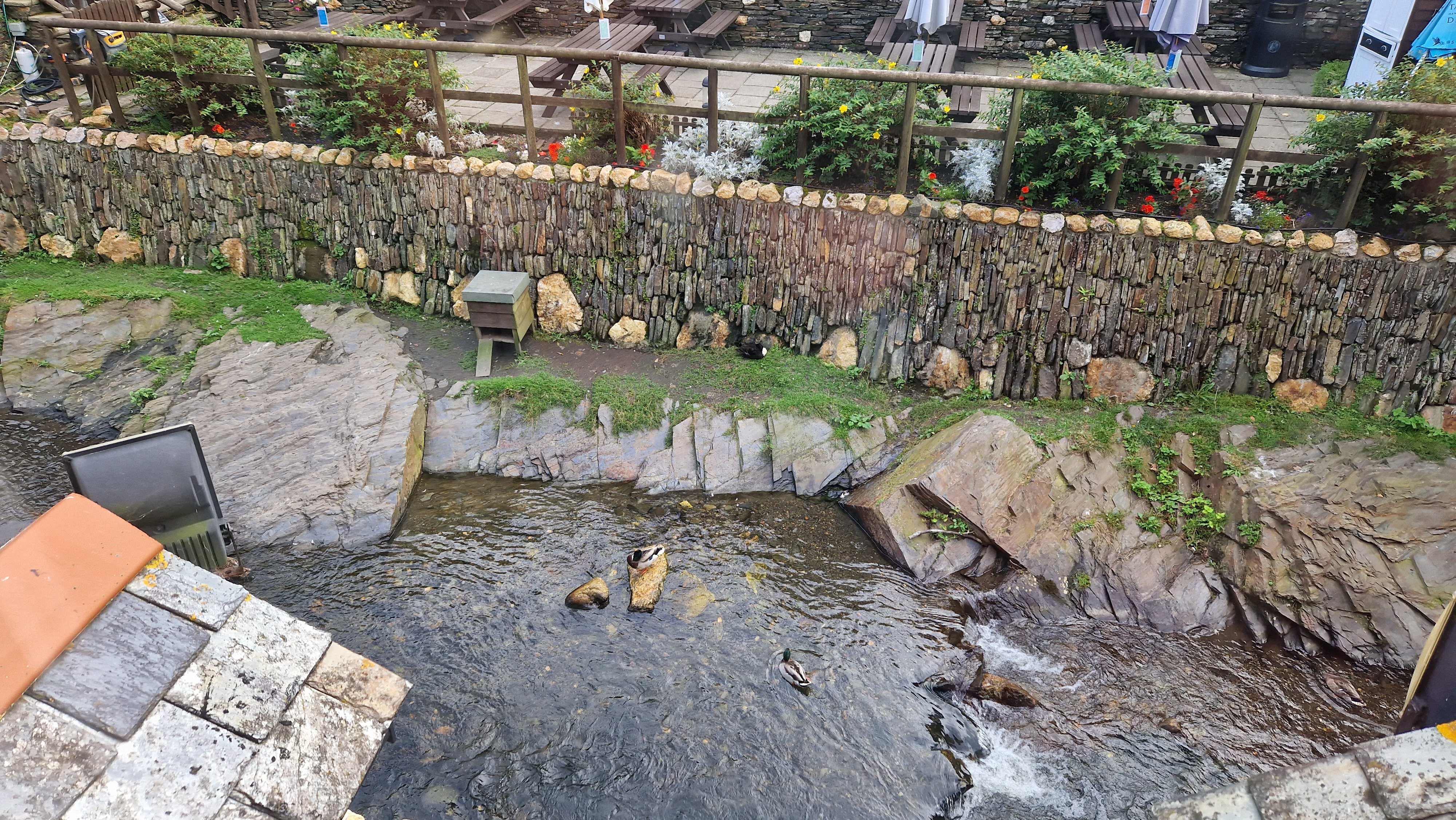 The Riverside-酒店景观