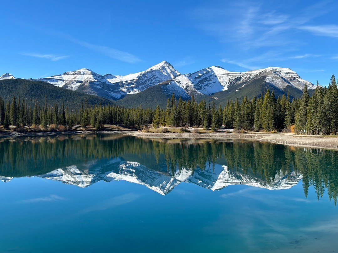 Forget Me Not Pond景点图片