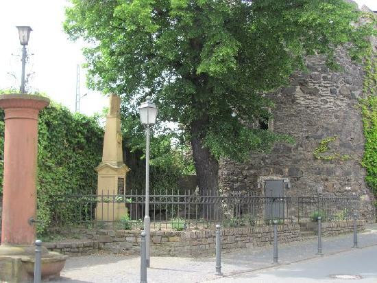 Strunk-Lorch必去景点