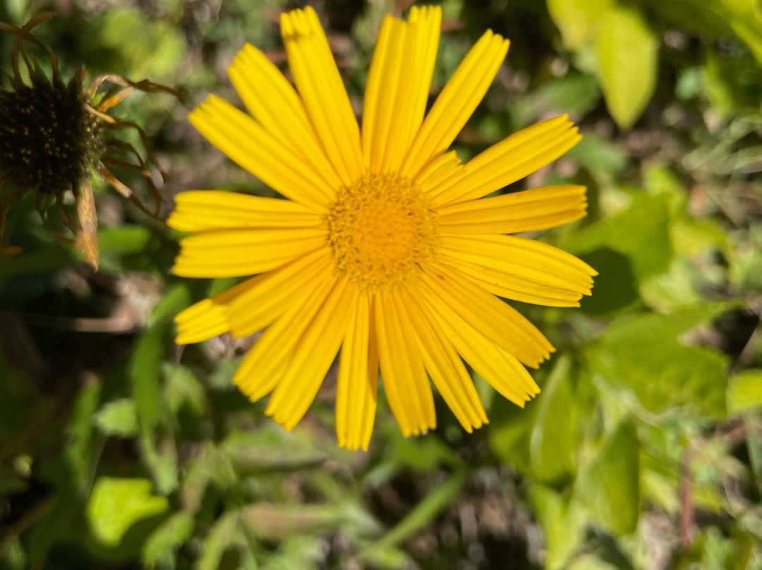 Nationalpark Berchtesgaden-贝希特斯加登必去景点