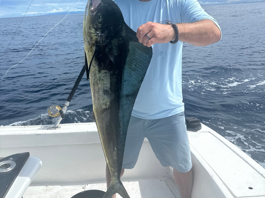 Flamingo Sportfishing CR景点图片