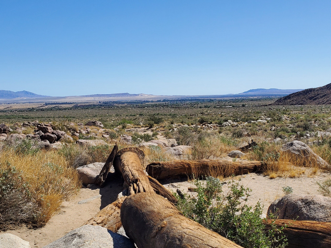 Borrego Springs Farmers Market-波瑞戈泉必去景点