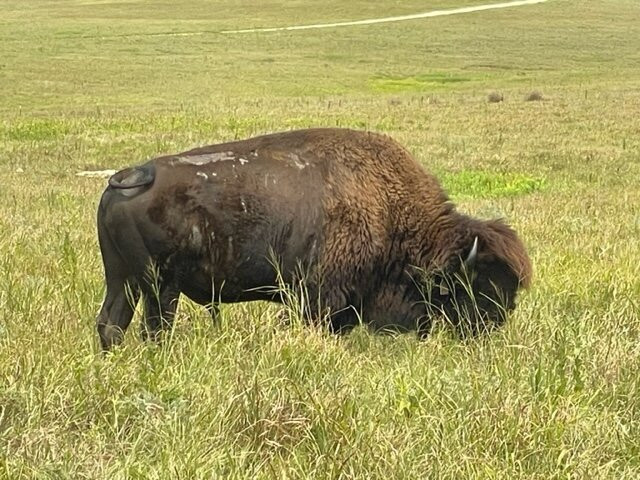 Tallgrass Prairie National Preserve景点图片