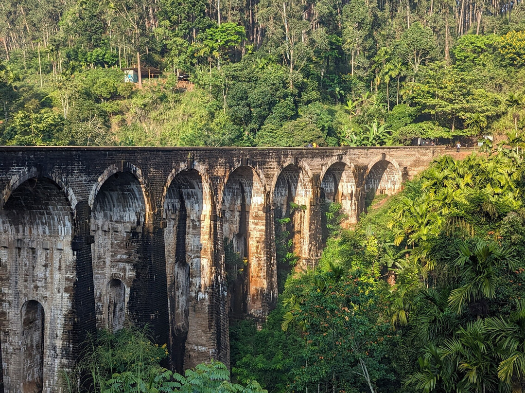 Visit Sri Lanka Travels景点图片