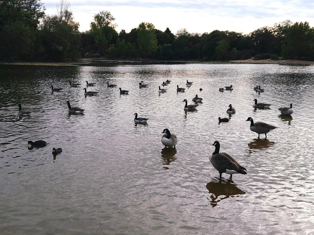 Etang Du Corra景点图片
