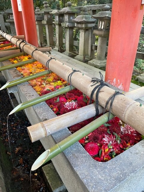 Otokoyama Observatory-八幡市必去景点