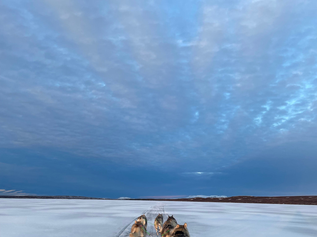 Snow Dogs-米湖必去景点