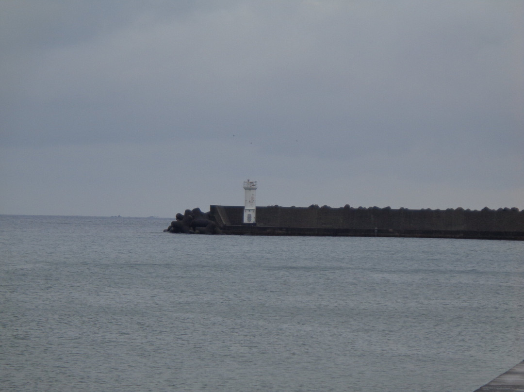 Hahajima Island-小笠原村必去景点