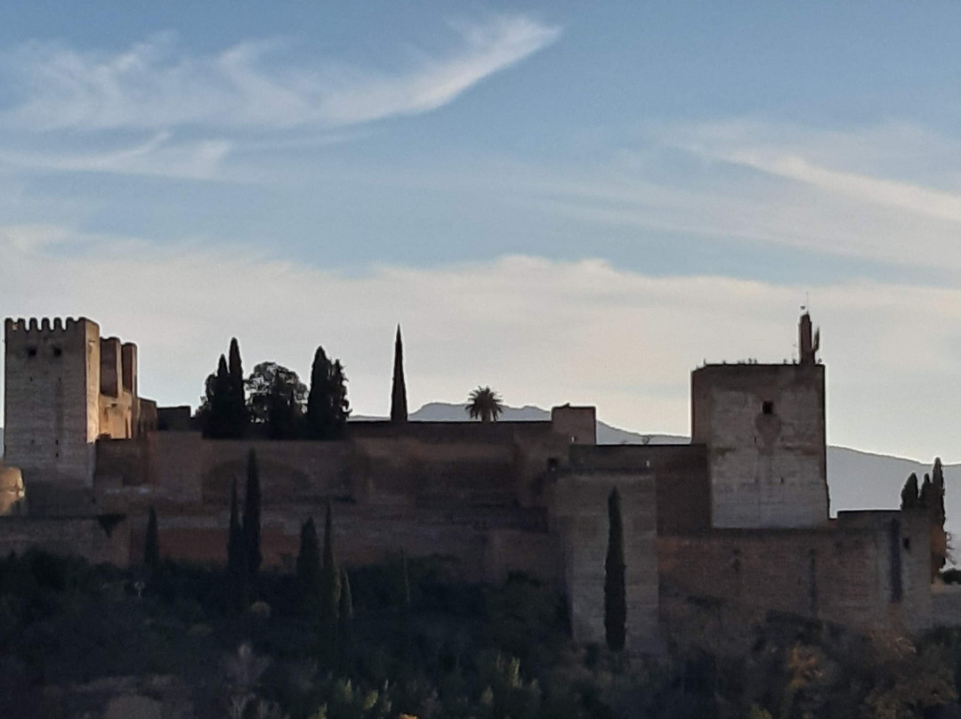 Mezquita Mayor de Granada景点图片