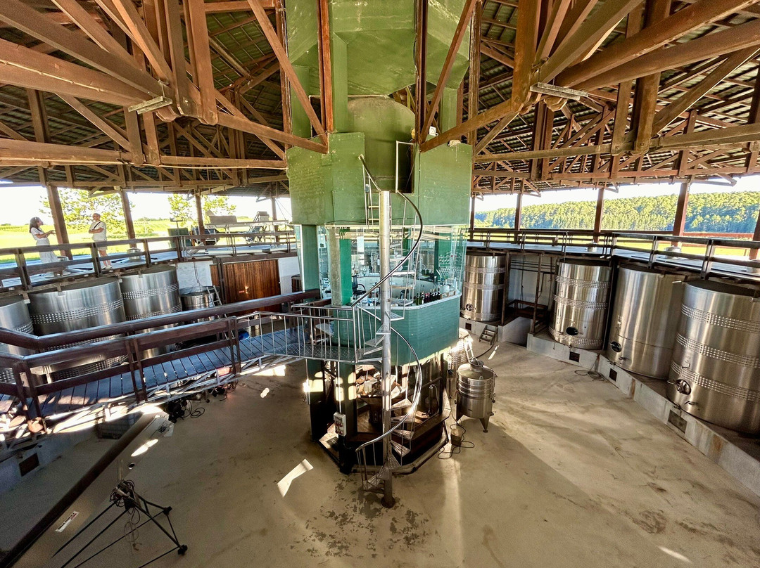 Bodega Cerro Chapeu-Rivera必去景点