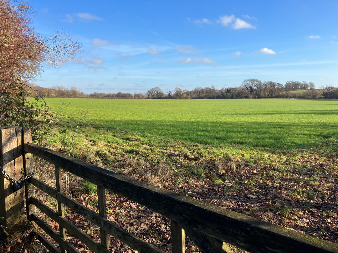 Sissinghurst Castle Estate Walking Trails景点图片