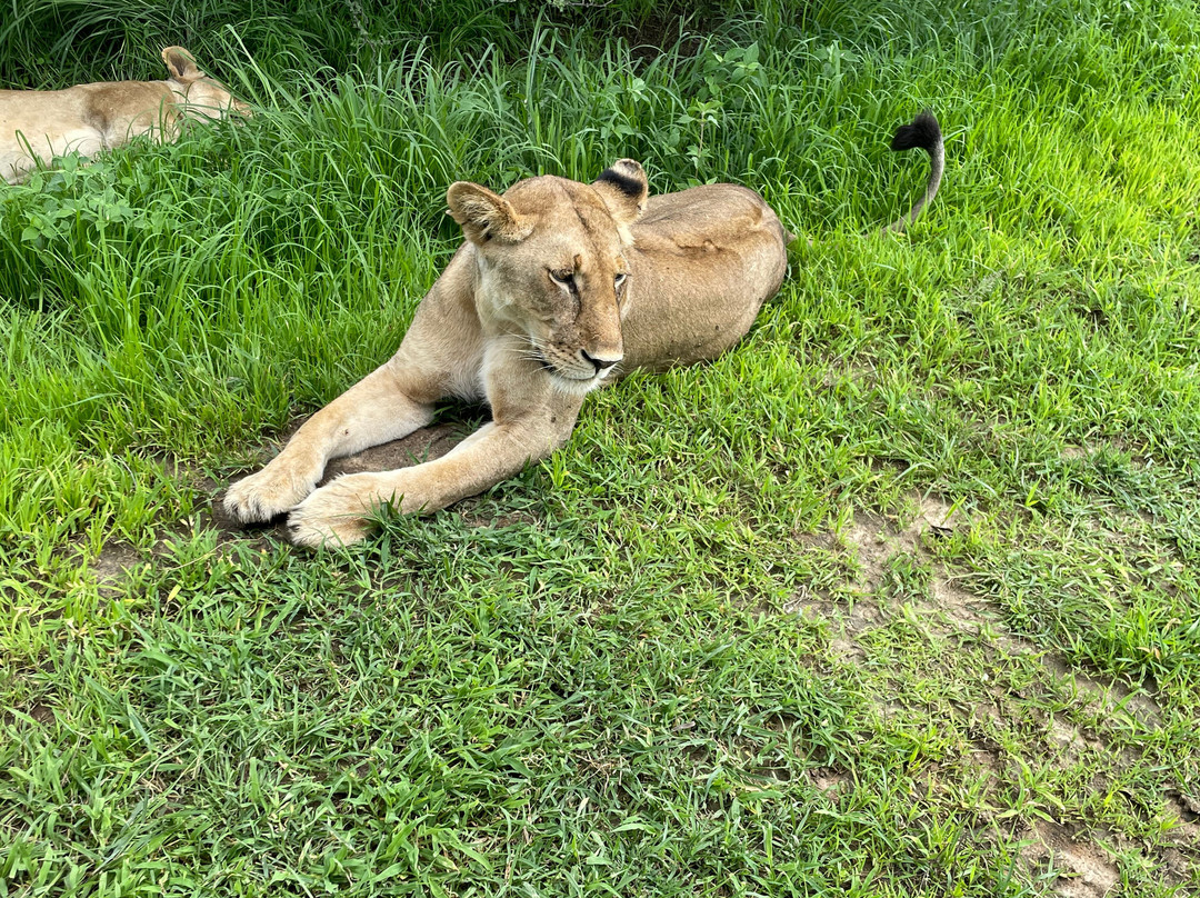Mwambani Tours & Safaris景点图片