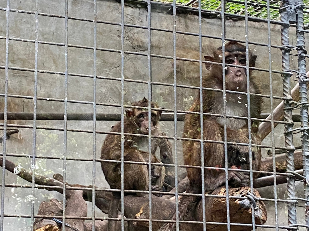 Malabon Zoo-马拉闵必去景点