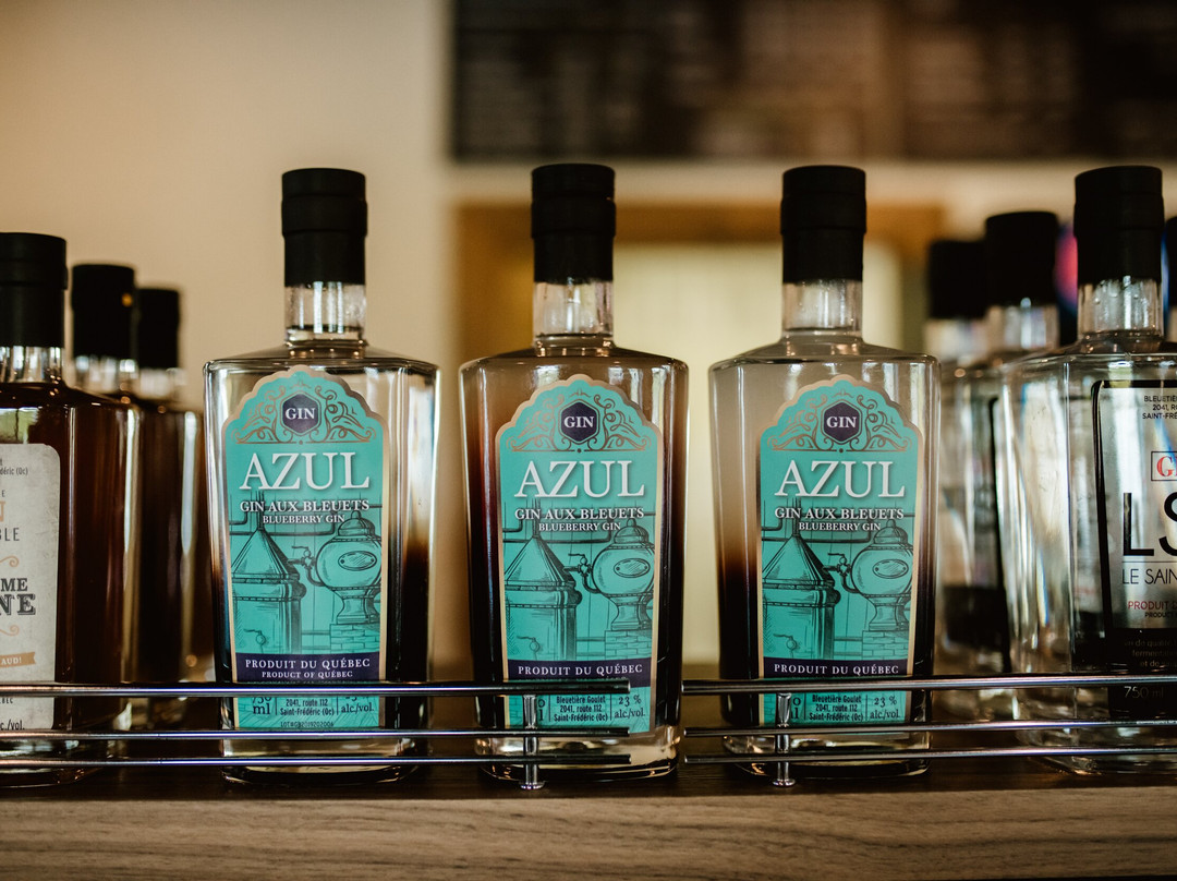 Bleuetière Goulet Inc