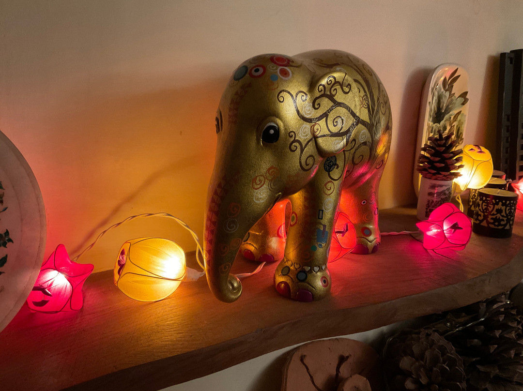 Elephant Parade Land-清迈必去景点