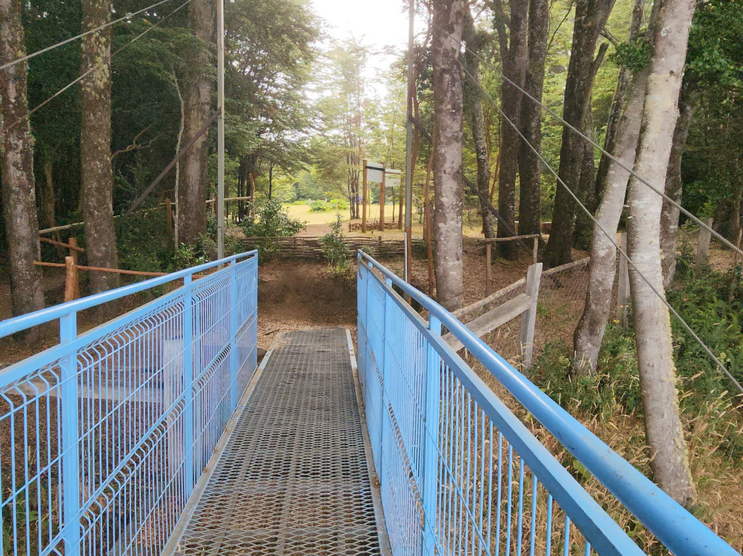 Mirador La Voladora-Puqueldon必去景点