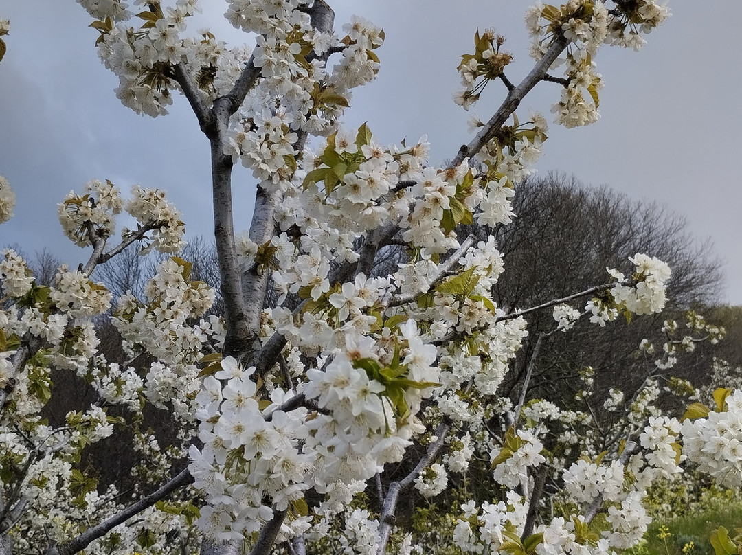 Monfrague Natural Ecoturismo景点图片
