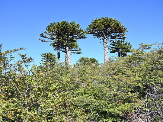 Ermitaño Expediciones-普孔必去景点