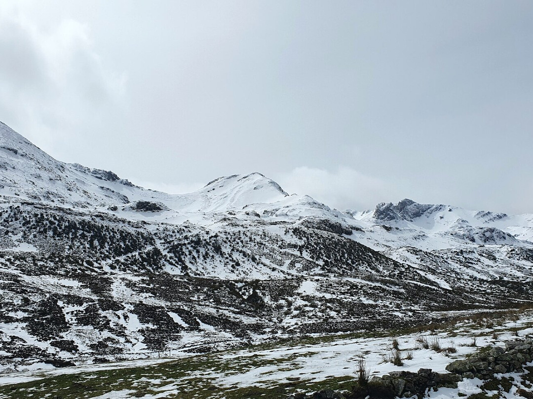 公鸡啼鸣酒店主图