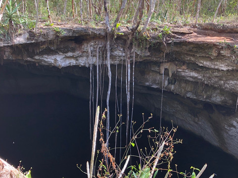 Yucatan Dive Center-梅里达必去景点