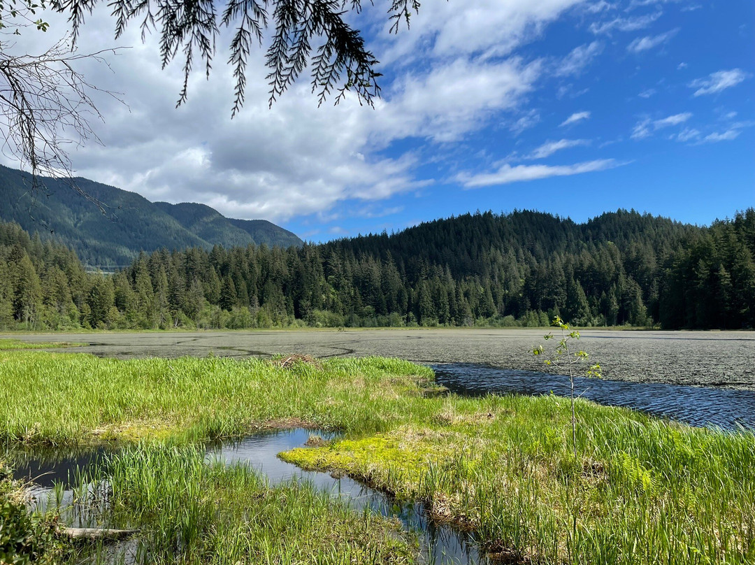 Minnekhada Regional Park景点图片