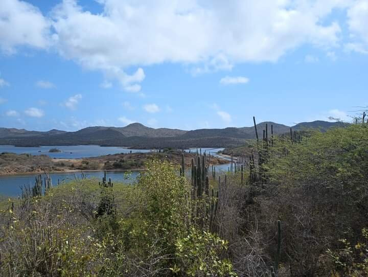 Explorer Tours Bonaire-Kralendijk必去景点