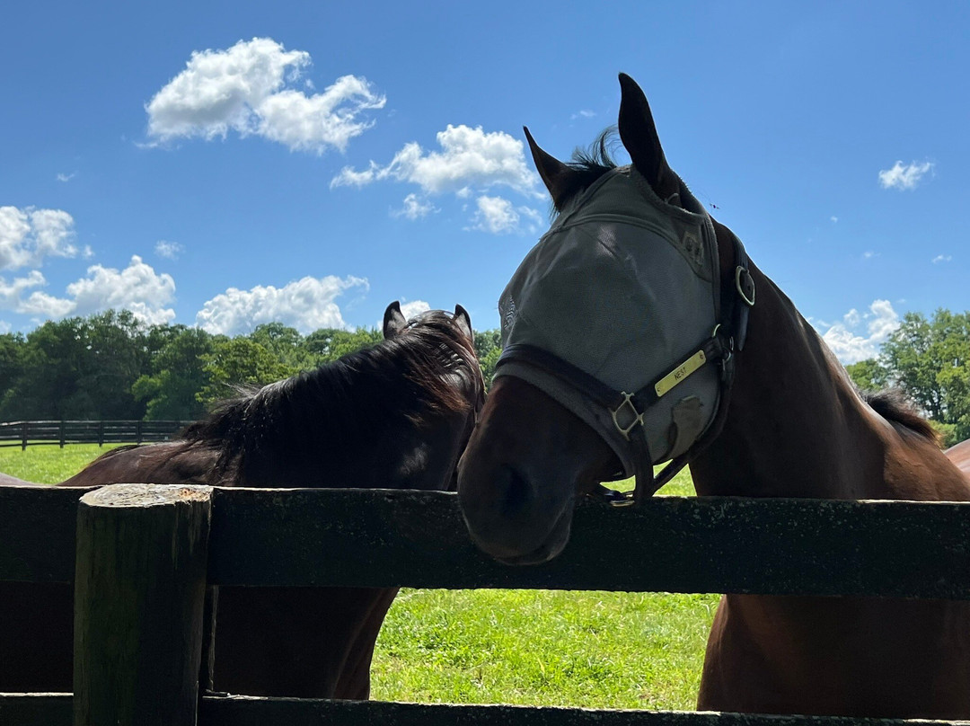 Lane's End-Versailles必去景点