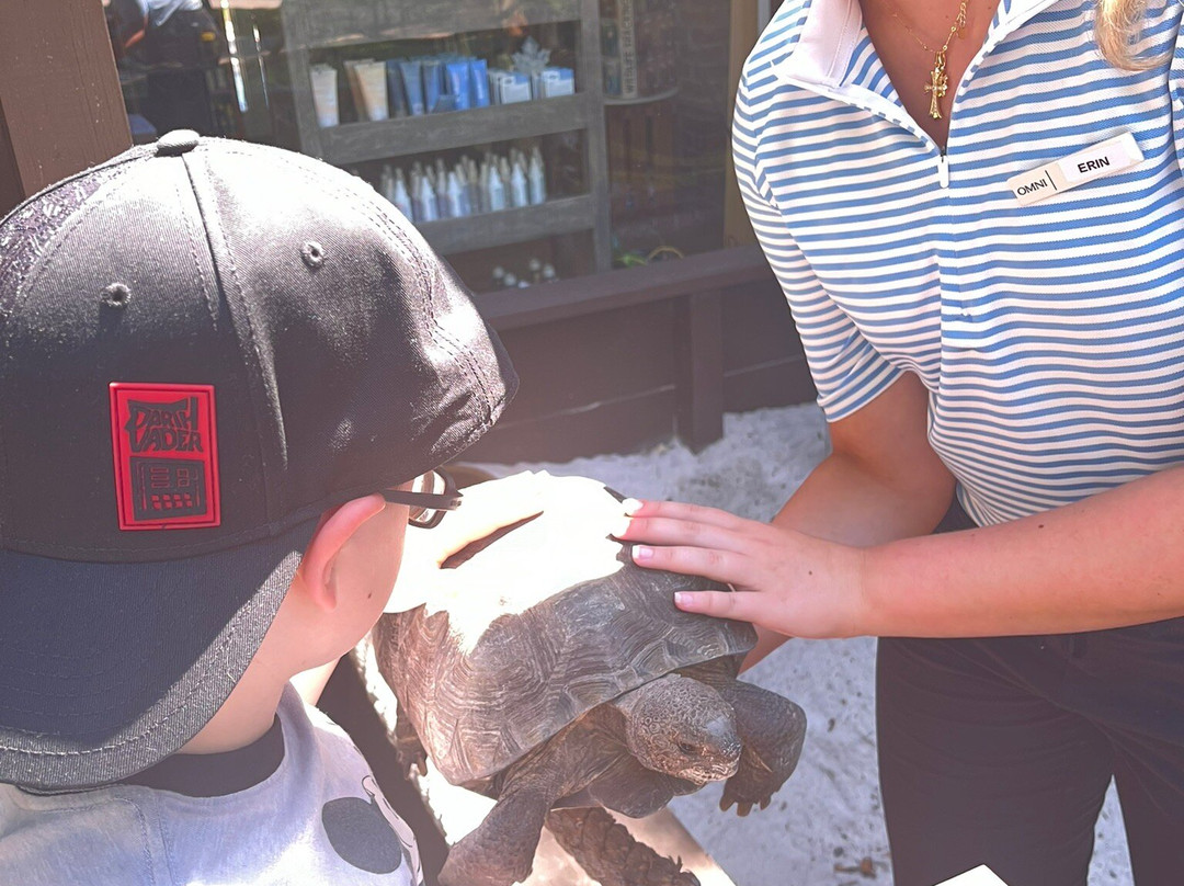 Amelia Island Nature Center-阿米莉亚岛必去景点
