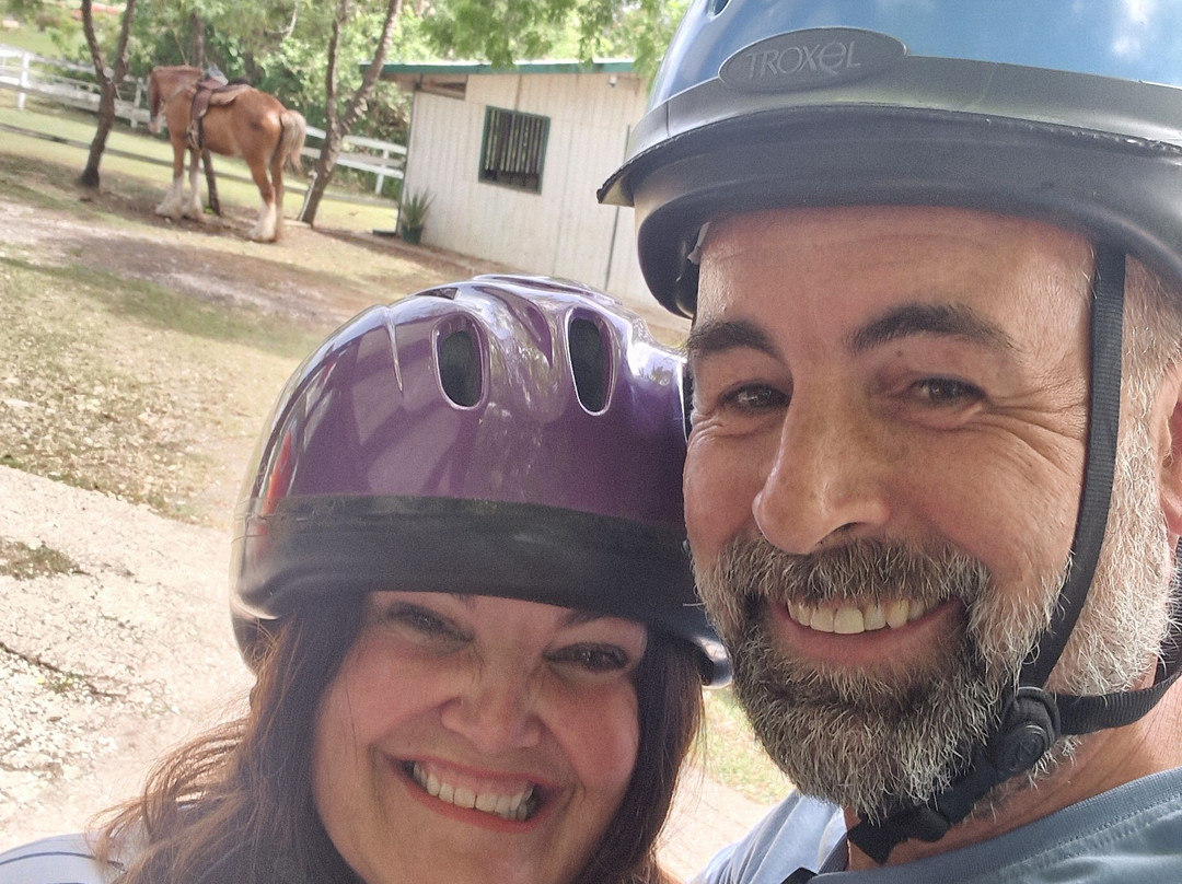 Codrington Riding Stables-Waterford必去景点