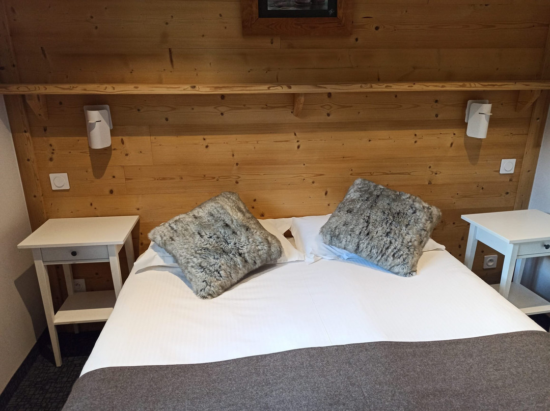 Logis Hôtel le Faranchin主图