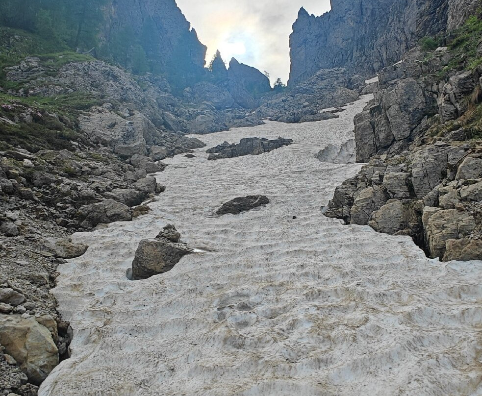 Palaronda Trek景点图片