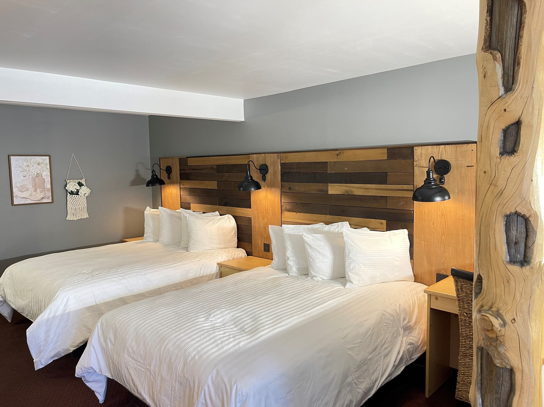 Moose Creek Lodge and Suites主图