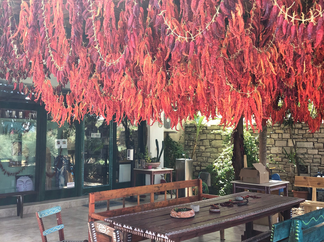 Botano-Listaros必去景点