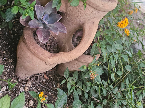 梅斯 1868 民宿主图