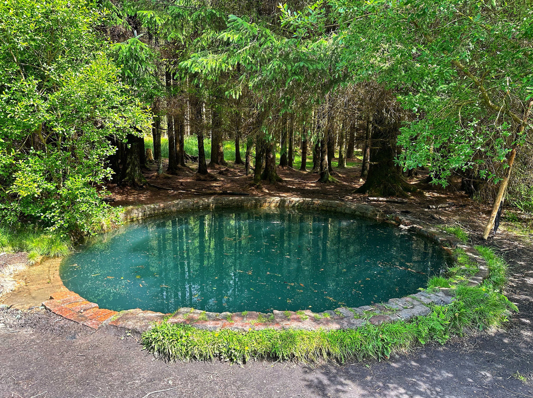 Torwood Blue Pool-福尔柯克必去景点