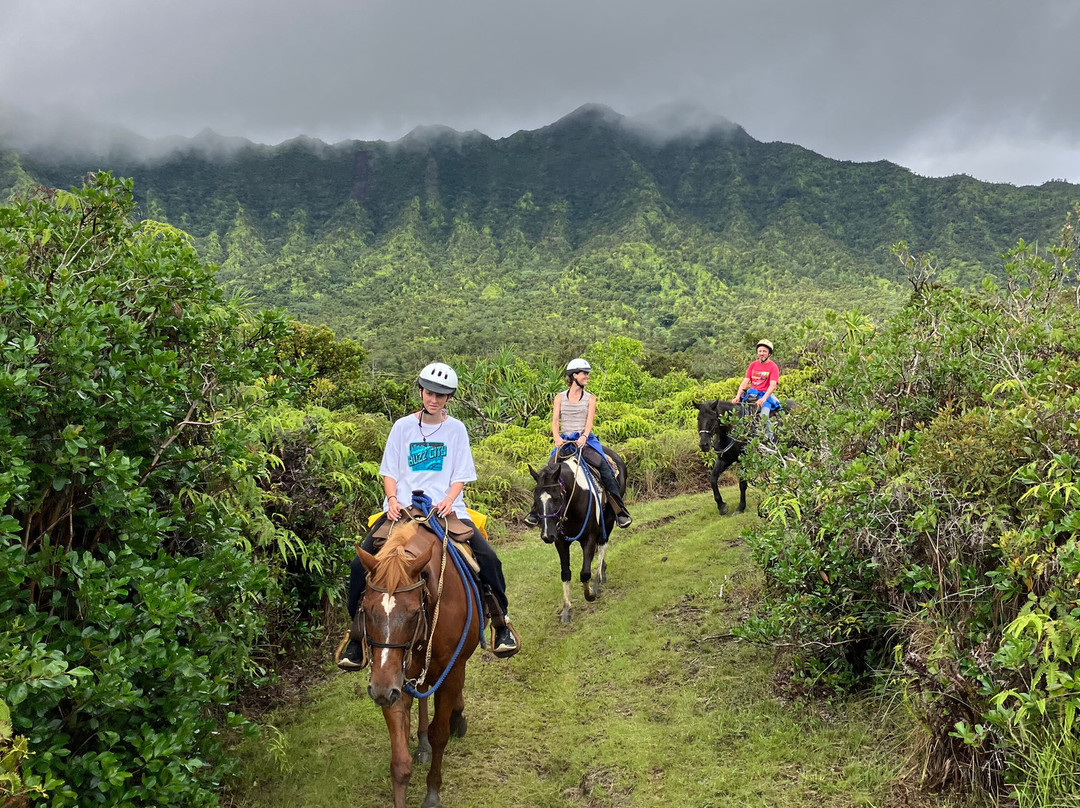 Silver Falls Ranch-基拉韦厄必去景点