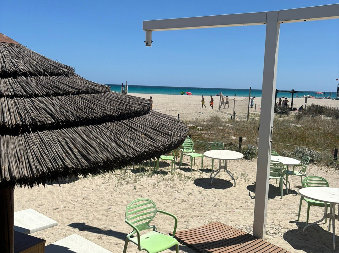 Makito Poetto