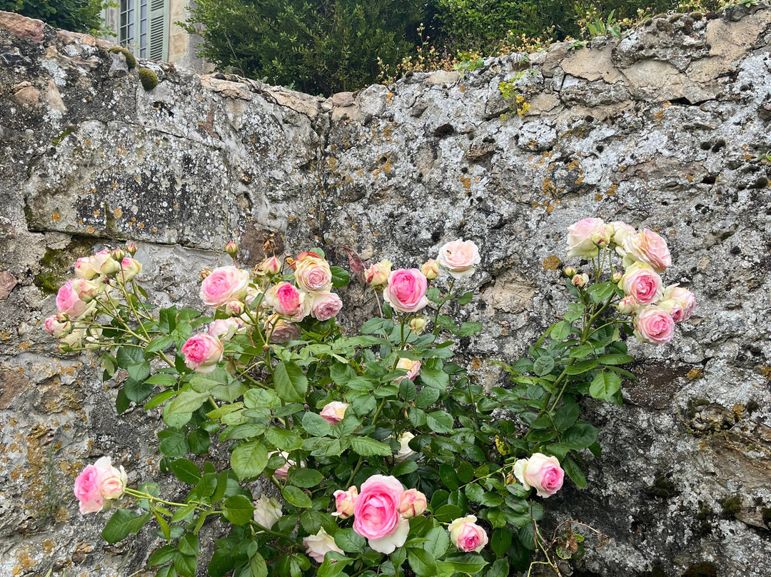 Chateau d'Hodebert主图