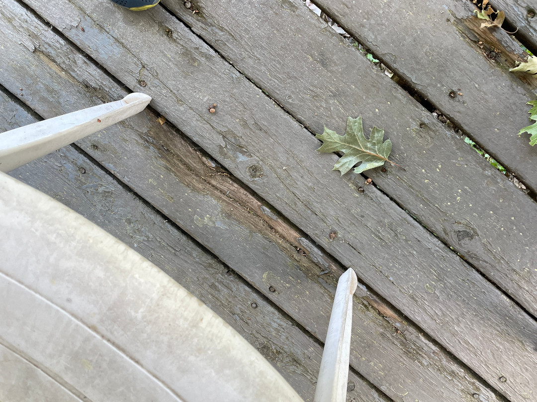 Alta Sierra Village Inn主图