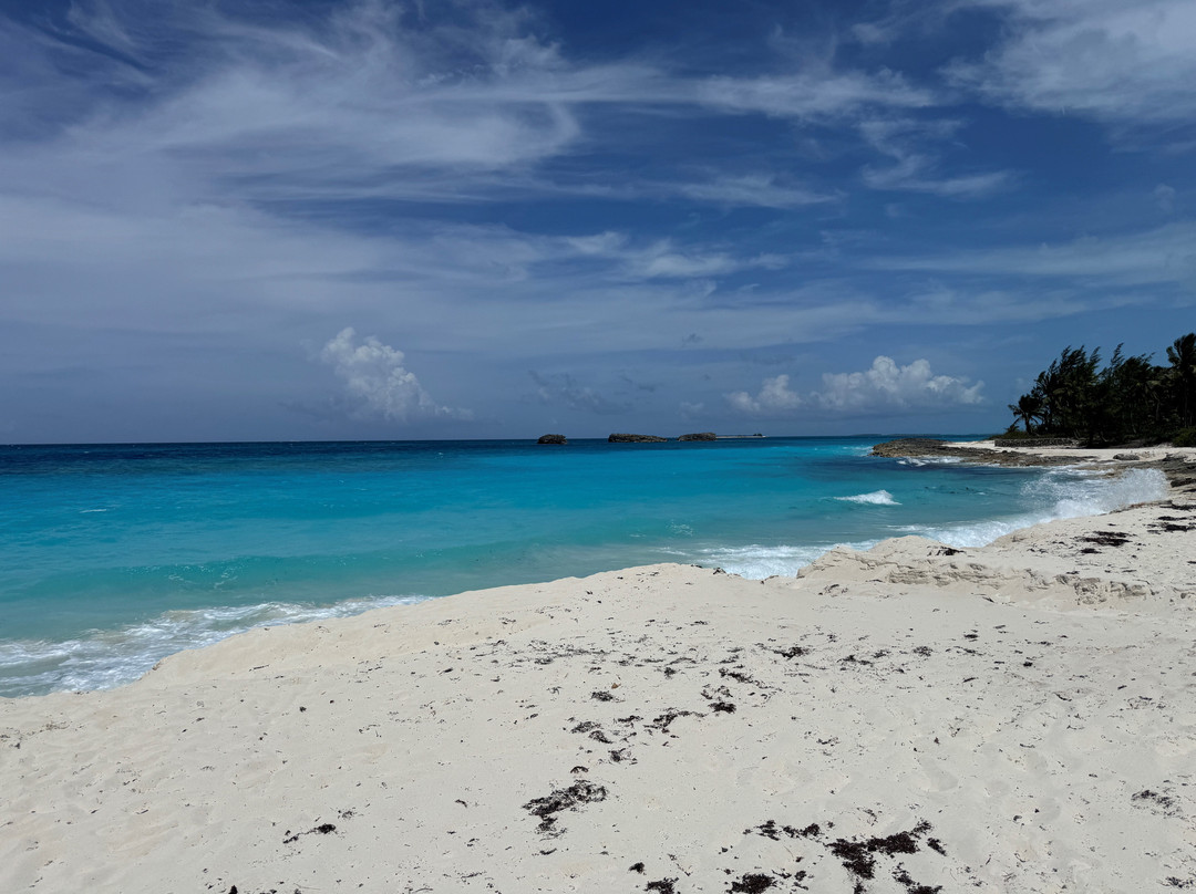 埃克苏马棕榈树酒店主图