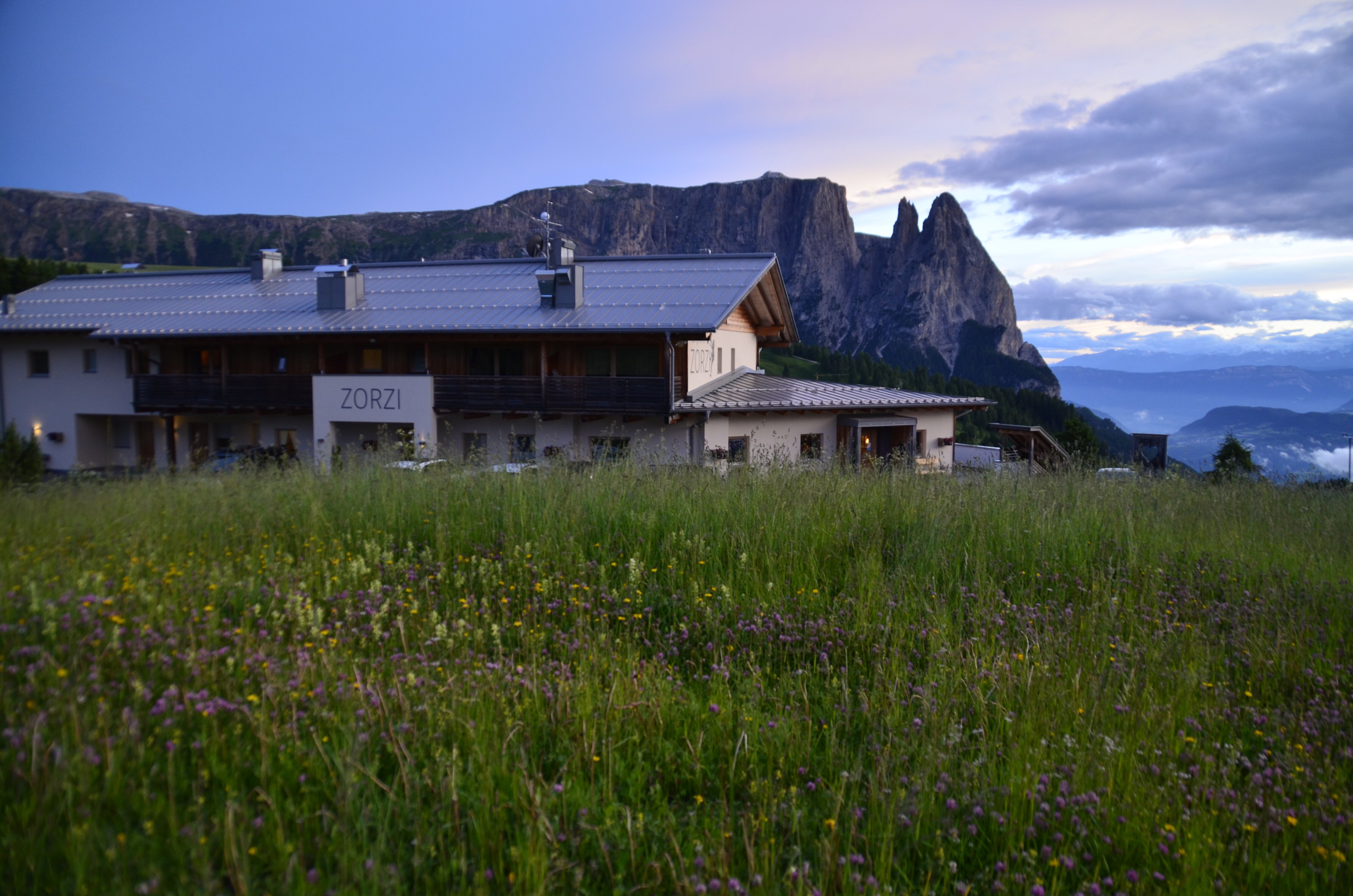 Berghotel Zorzi-酒店景观