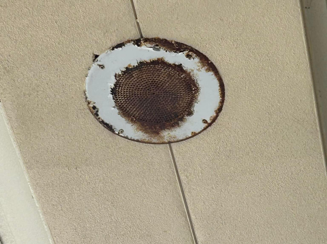 Club Renaissance-Sun City Center必去景点