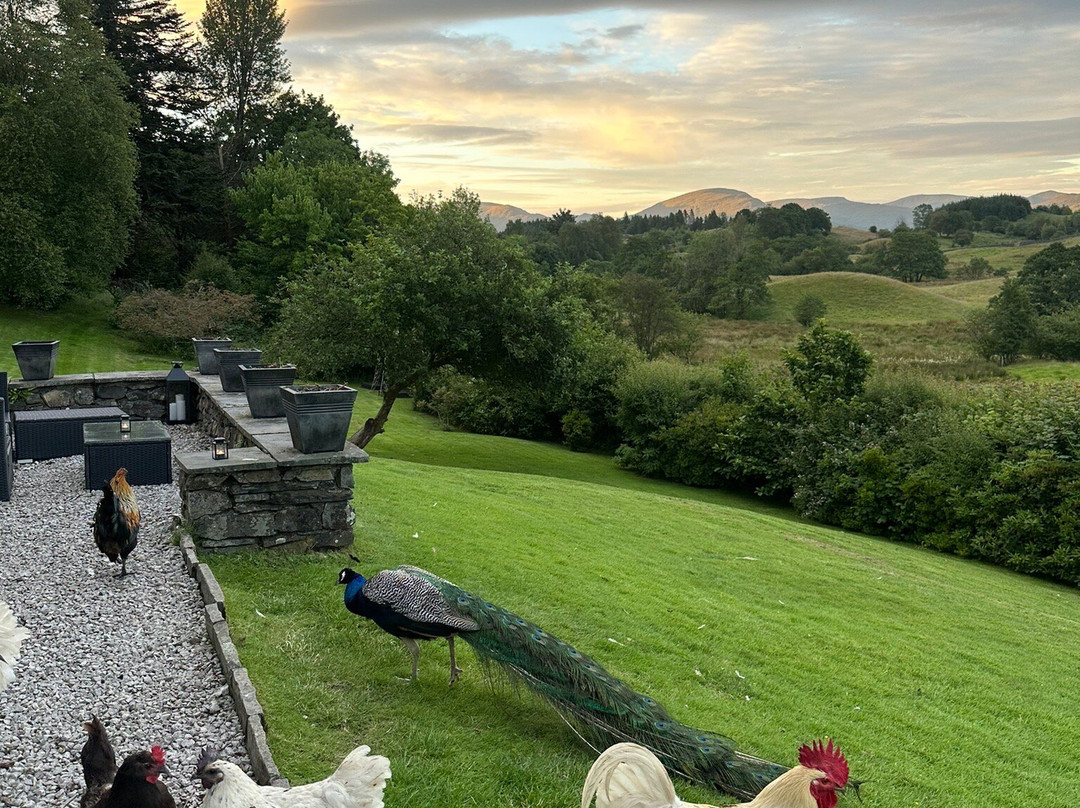 High Grassings Country House B&B主图